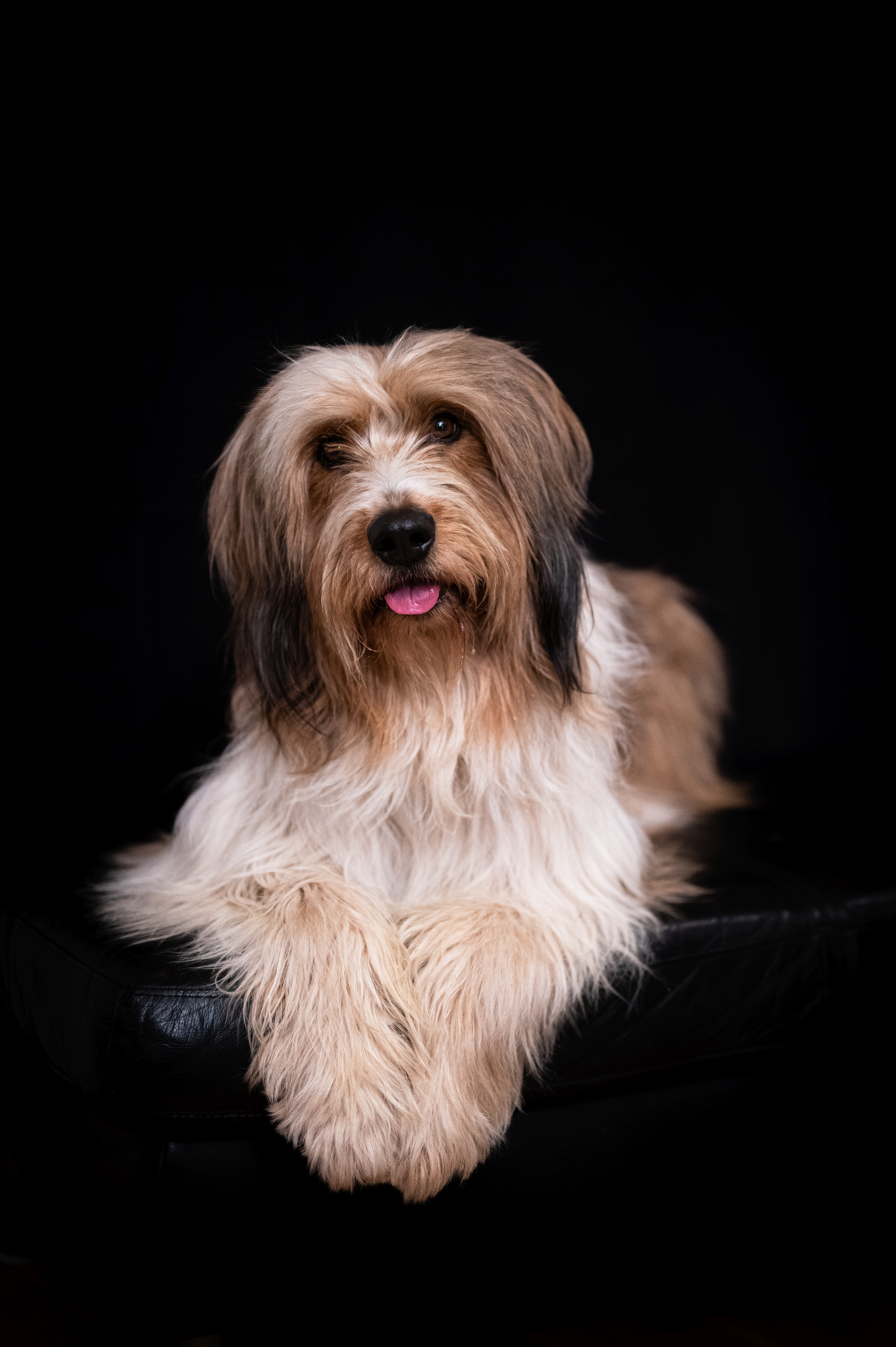 Wäller von der Straubenhalde